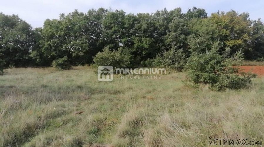 Istra, okolica Bala, poljoprivredno zemljište od 35.000m2