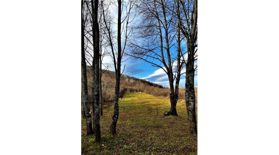 VOĆNJAK IZ SNOVA 3.812 m² – Boričevac - 2