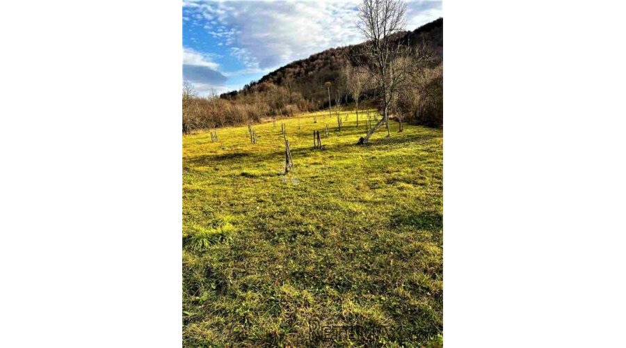 VOĆNJAK IZ SNOVA 3.812 m² – Boričevac - 3