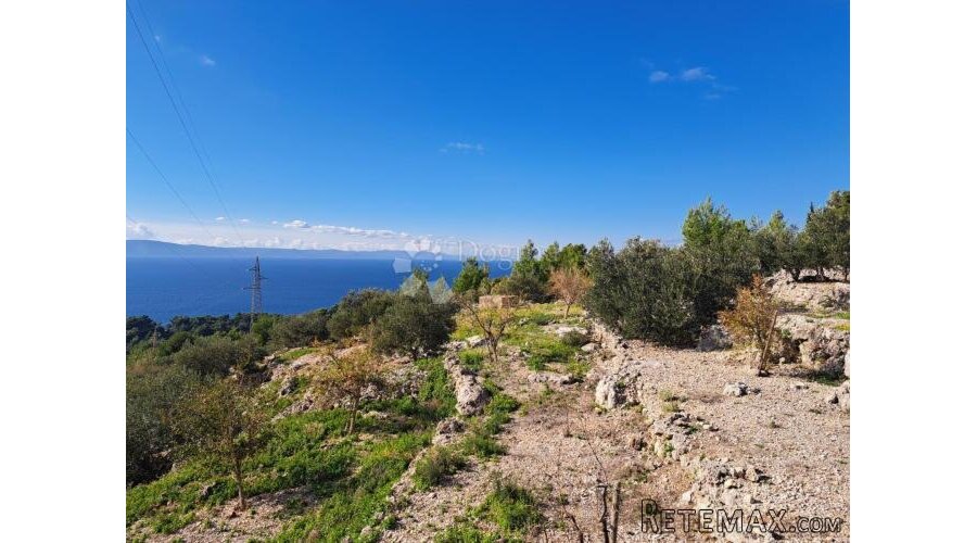 Uređeni maslinik s predivnim pogledom – 896 m², Podgora - 2