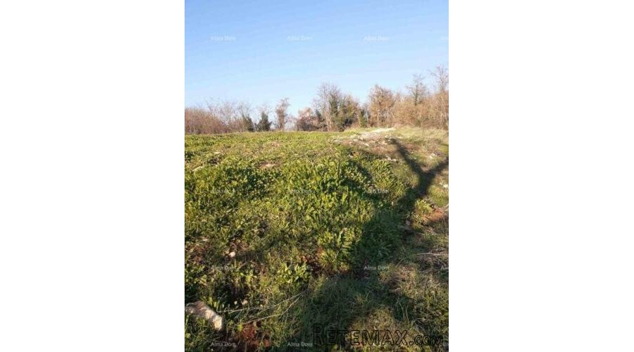Prodaje se zemljište u Brtonigli (Istra) –građevinsko i po..