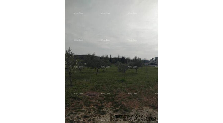 Atraktivno zemljište, 5.716 m²,okolica Poreča - 2