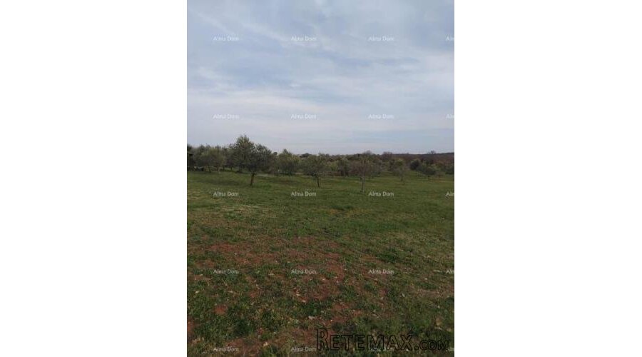 Atraktivno zemljište, 5.716 m²,okolica Poreča - 3