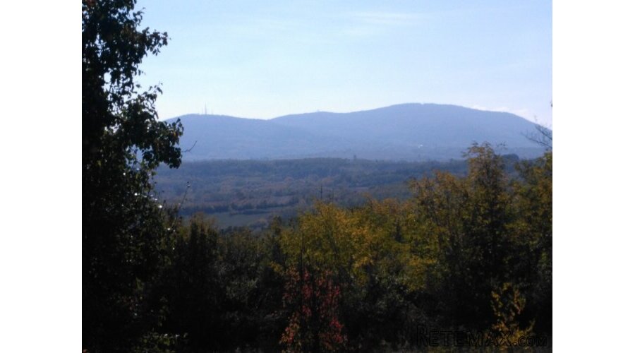 Na prodaju plac (suma) u Sopotu - 3