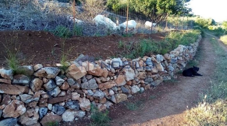 Vis, polje, kuća 100 m2 s nadstrešnicom 20 m2 i 13000 m2 z.. - 13
