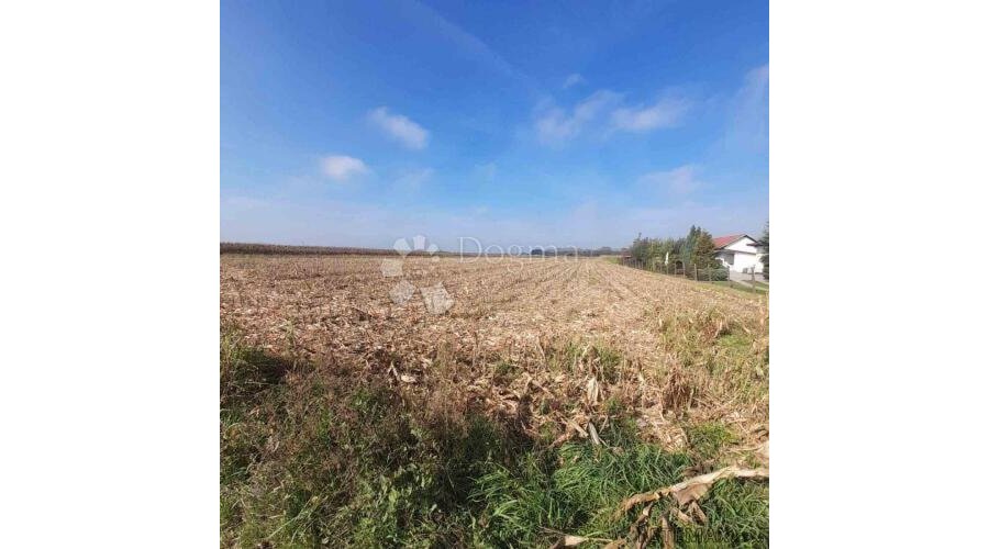 VELIKO POLJOPRIVREDNO ZEMLJIŠTE LUDBREG - 2