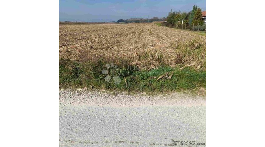 VELIKO POLJOPRIVREDNO ZEMLJIŠTE LUDBREG - 3