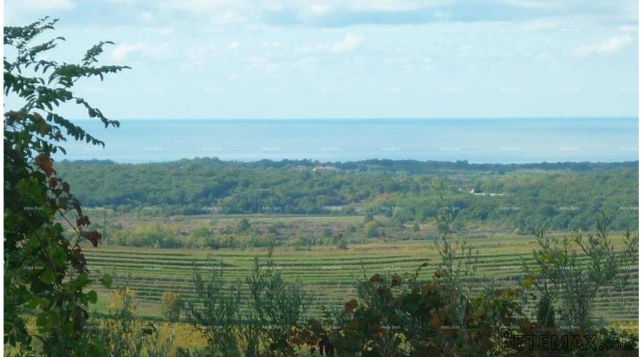 Buje – atraktivno zemljište s pogledom na more - 2