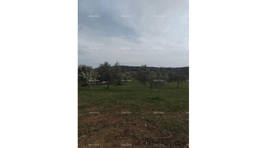 Atraktivno zemljište, 5.716 m²,okolica Poreča