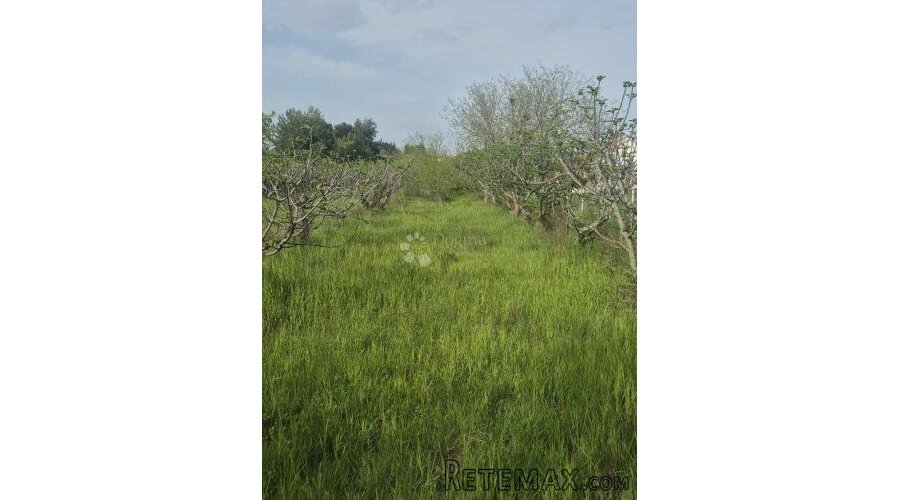 SMOKOVIĆ - GRAĐEVINSKO ZEMLJIŠTE - 2885 M2- PRODAJA - 2