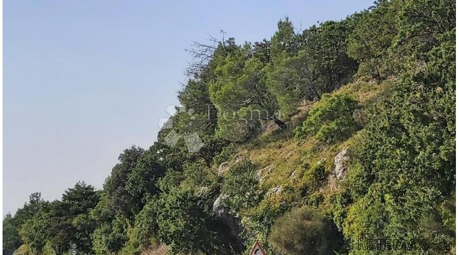 Zemljište sa tri ruševne kuće - 4