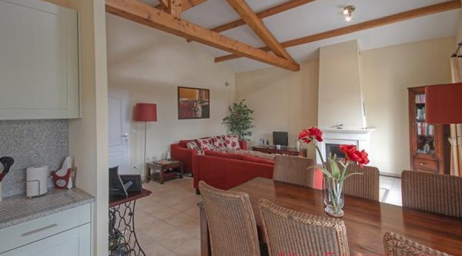 Les Forges (79) - Immaculate villa with large terraces, garden.. - 5