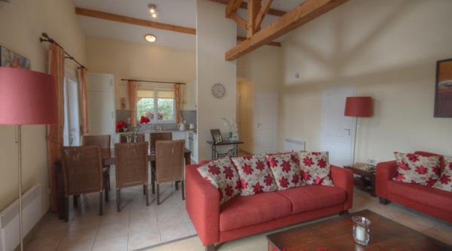 Les Forges (79) - Immaculate villa with large terraces, garden.. - 6