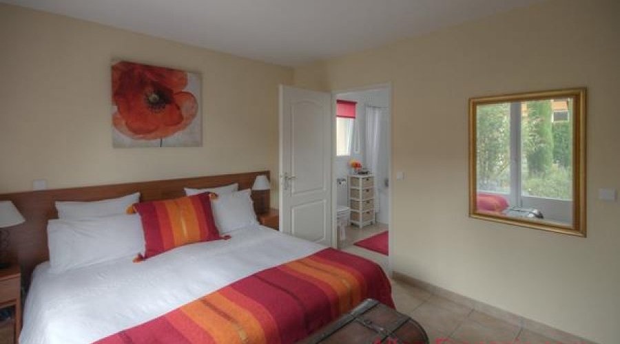 Les Forges (79) - Immaculate villa with large terraces, garden.. - 7