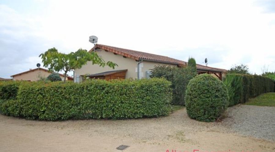 Les Forges (79) - Immaculate villa with large terraces, garden.. - 9