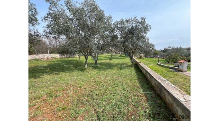 Peroj, građevinsko zemljište površine 1336 m² - 4