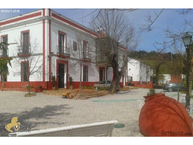 Constantina: Fantastic Finca..