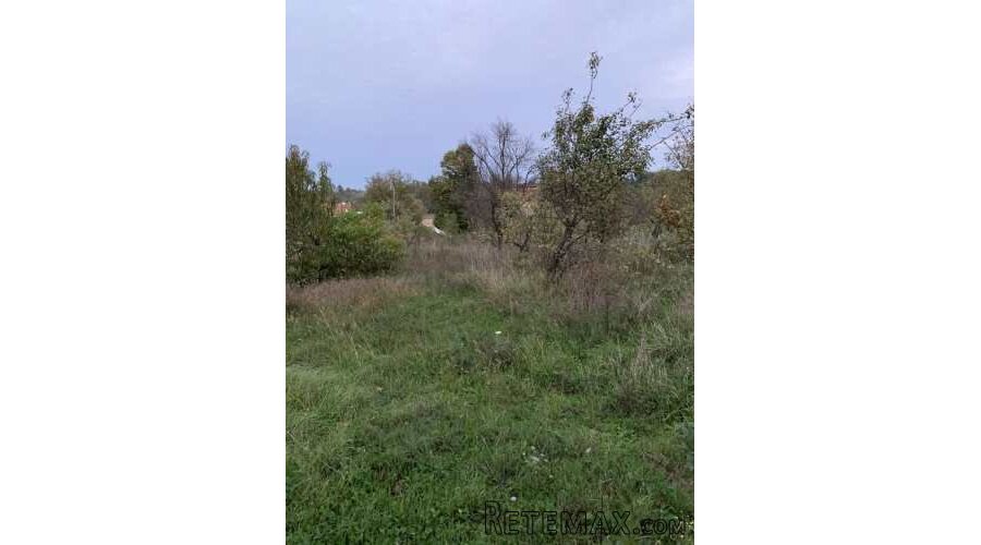 Prodajem kucu u Velikim Crljenima-Lazarevac - 10