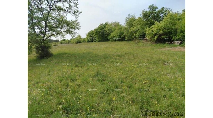 Građevinsko zemljište 3.528 m² , u blizini Grožnjana