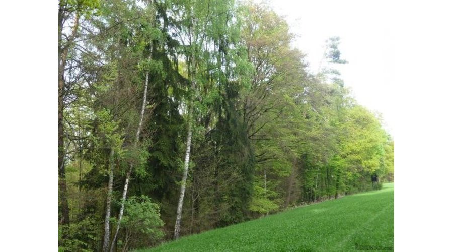Agricultural 18230 45000
