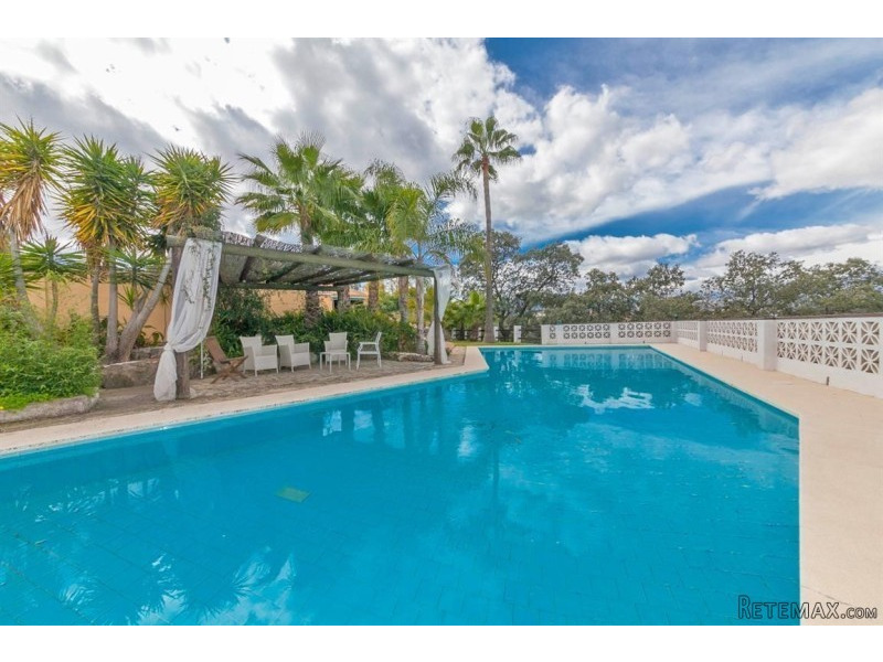 4 Bedroom Finca Villa - 2