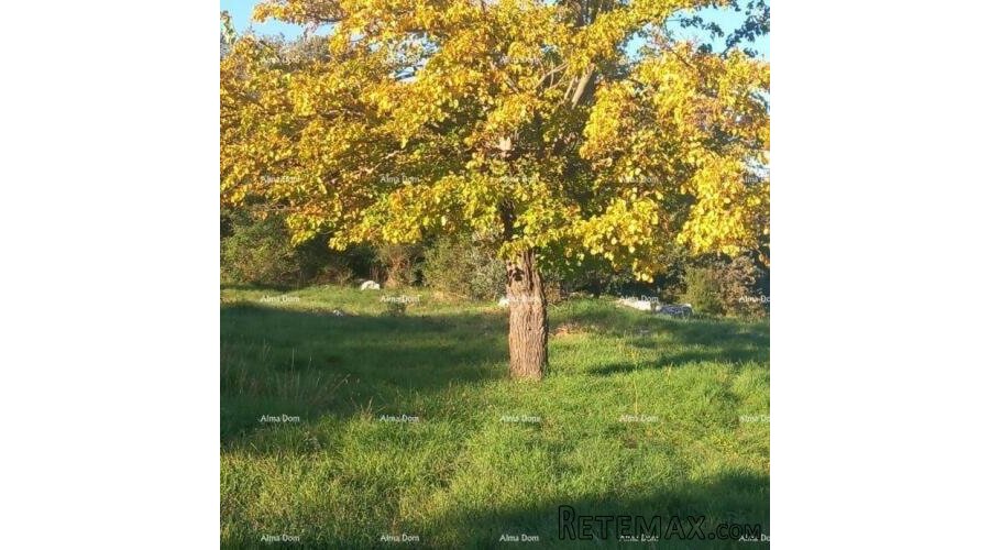 Prodaja - Poljoprivredno zemljište na dobroj lokaciji..