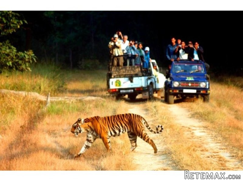 Jim Corbett Tour Packages - 2