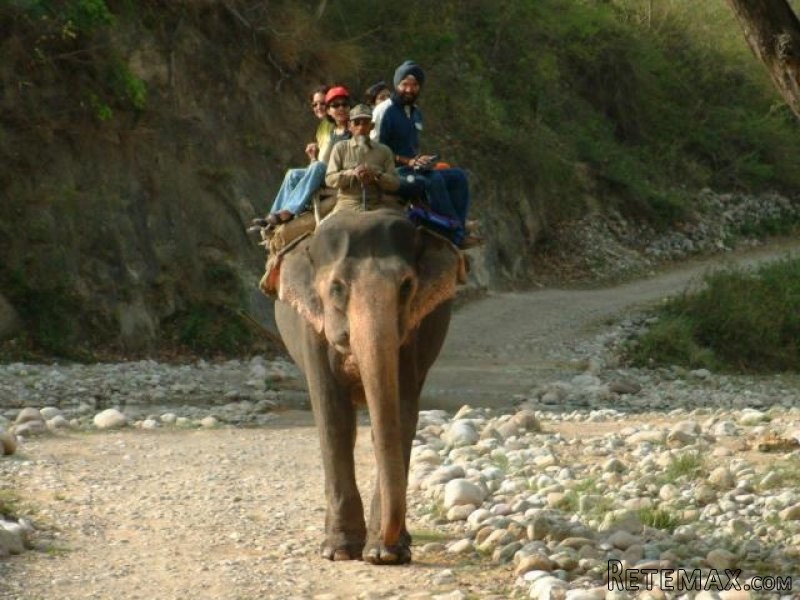 Jim Corbett Tour Packages