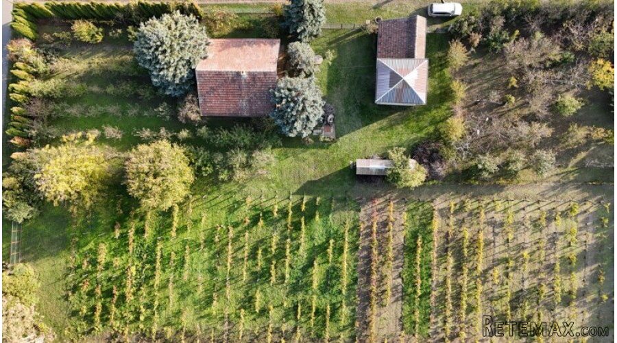 Bio salaš/bio gazdinstvo u okolini Subotice - 2