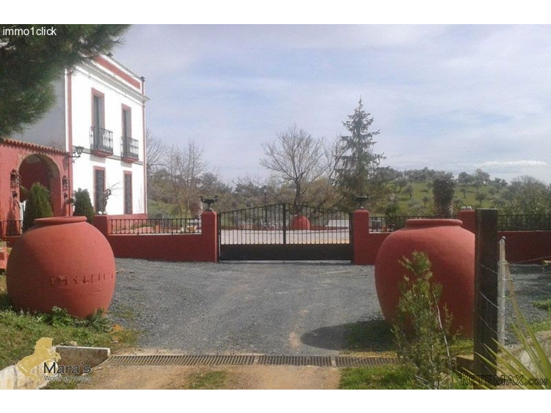 Constantina: Fantastic Finca.. - 2