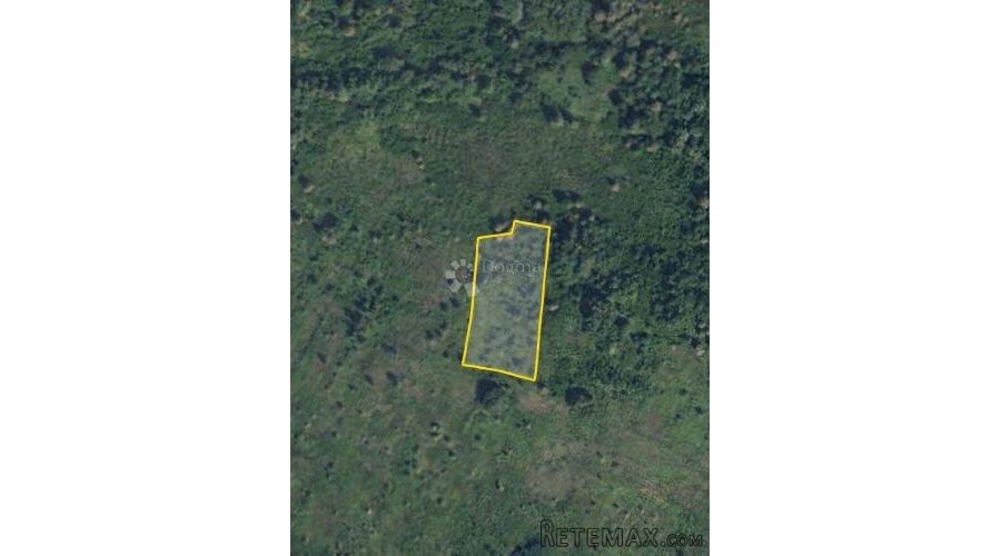 prodaje se više poljoprivrednih zemljišta, Glina - 6.981m² - 2