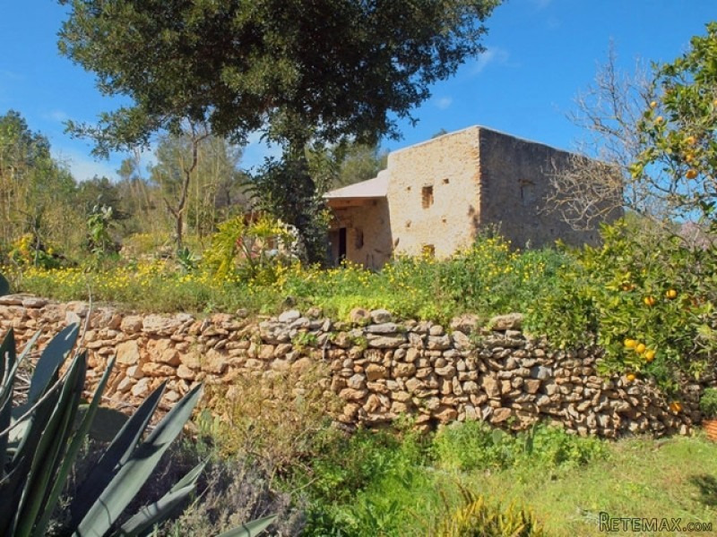 The authentic finca in Ibiza countryside