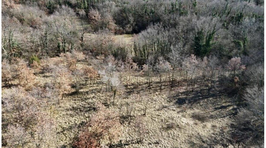 Žminj, Građevinsko zemljište u srcu Istre - 2