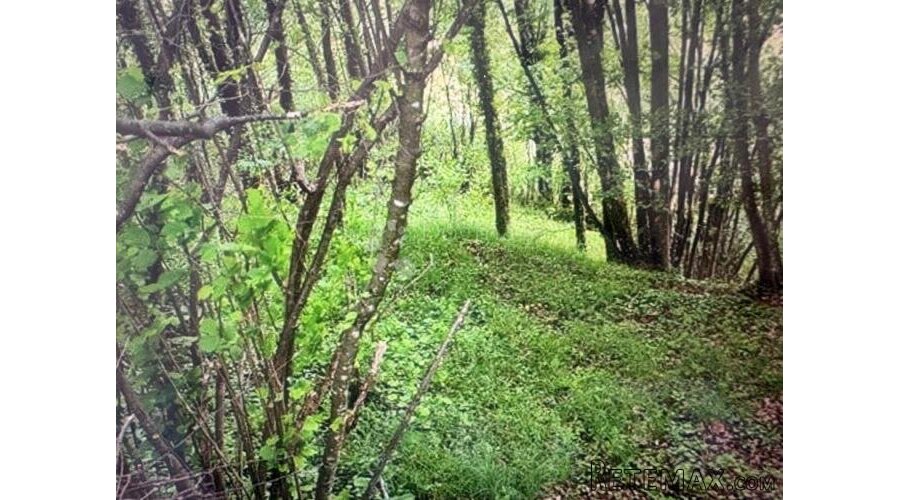 Poljoprivredno zemljište 1600 m2 kod Samobora