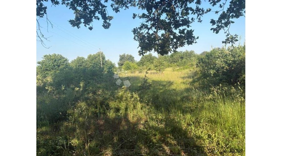 Poljoprivredno zemljište Jurcani 27000 m² -Investicijska pri