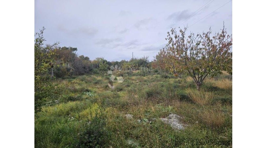 Građevinsko zemljište u Polači – Vaša buduća investicija! - 3