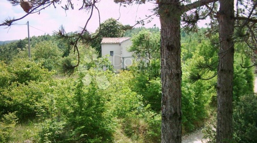 ISTRA, IMPOZANTNO IMANJE