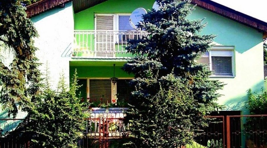 Prodajem porodicnu kucu na Palicu