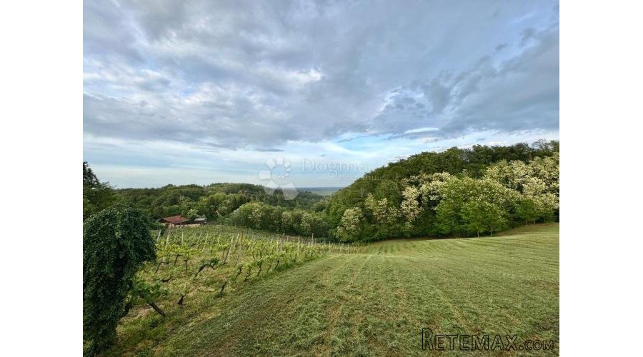 Građevinsko zemljište s vinogradom i panoramskim pogledom –
