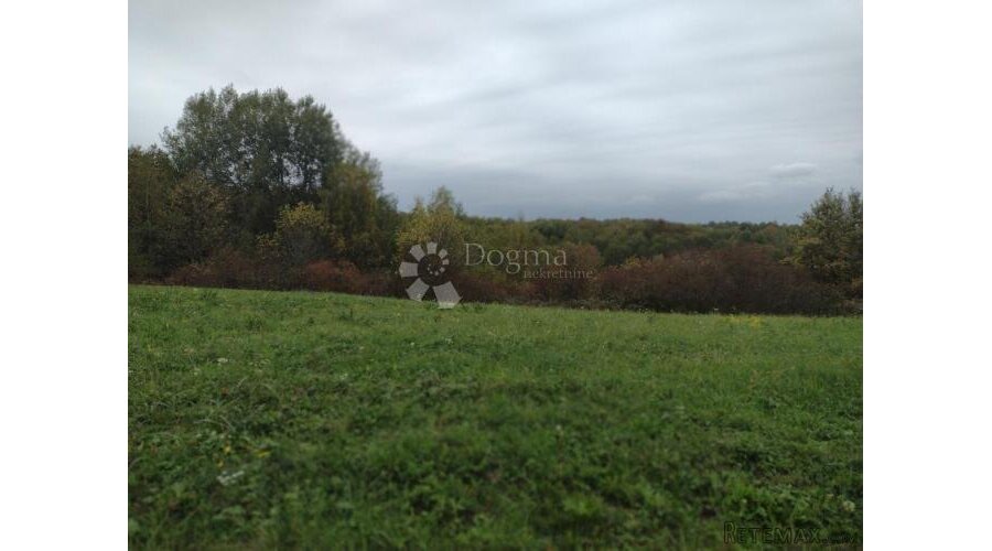 Šuma uz 2 potoka - 3