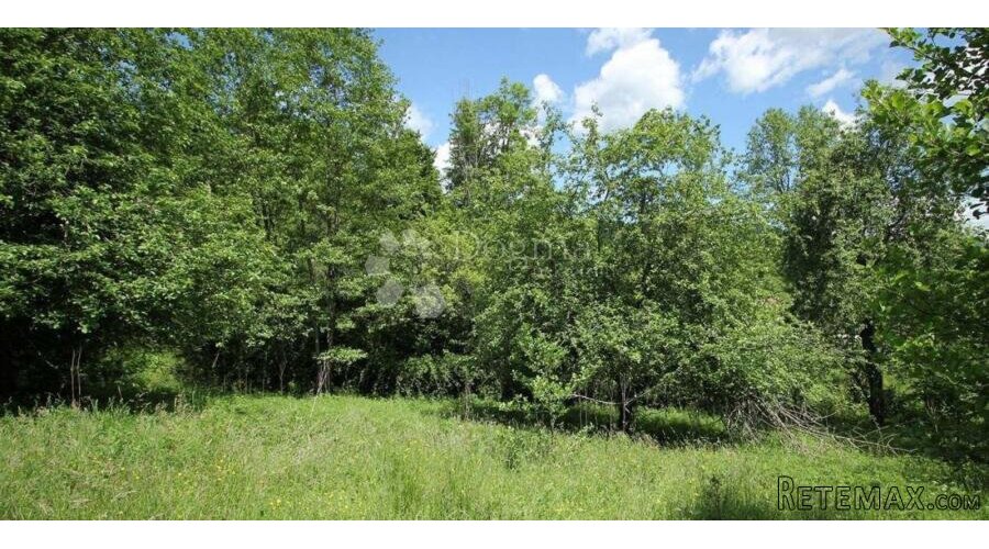 Poljoprivredno zemljište u Liču – 2.935 m², mirna lokacija