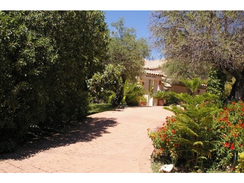 Finca Villa