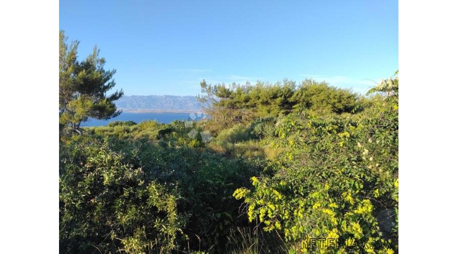 POLJOPRIVREDNO ZEMLJIŠTE 1360 m² – OTOK VIR (650 METARA OD M - 2