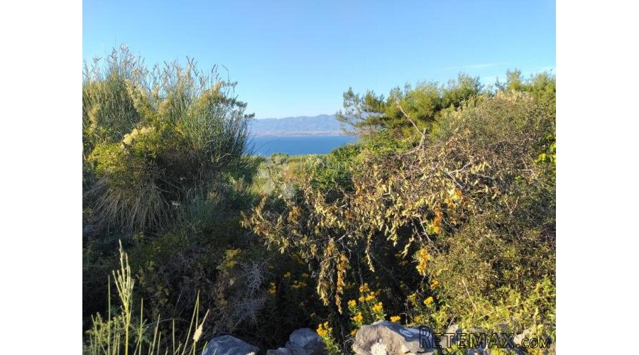 POLJOPRIVREDNO ZEMLJIŠTE 1360 m² – OTOK VIR (650 METARA OD M - 3