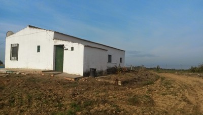 Finca Farm - This typical Andaluz.. - 2