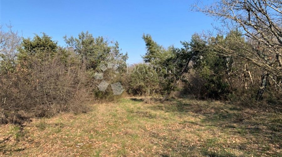 BALE – okolica, velika pacela, voda i struja u blizini - 2
