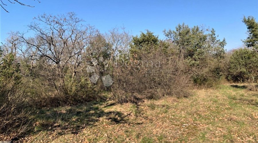 BALE – okolica, velika pacela, voda i struja u blizini - 3