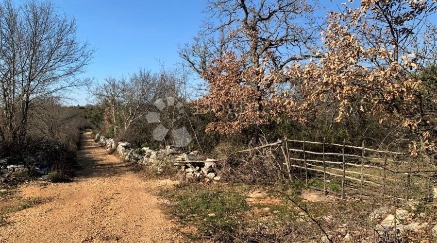 BALE – okolica, velika pacela, voda i struja u blizini - 4