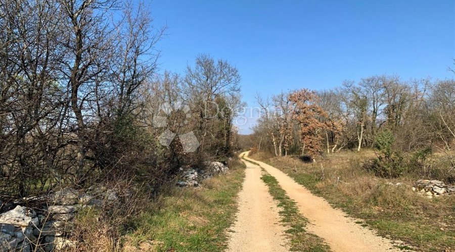BALE – okolica, velika pacela, voda i struja u blizini - 5