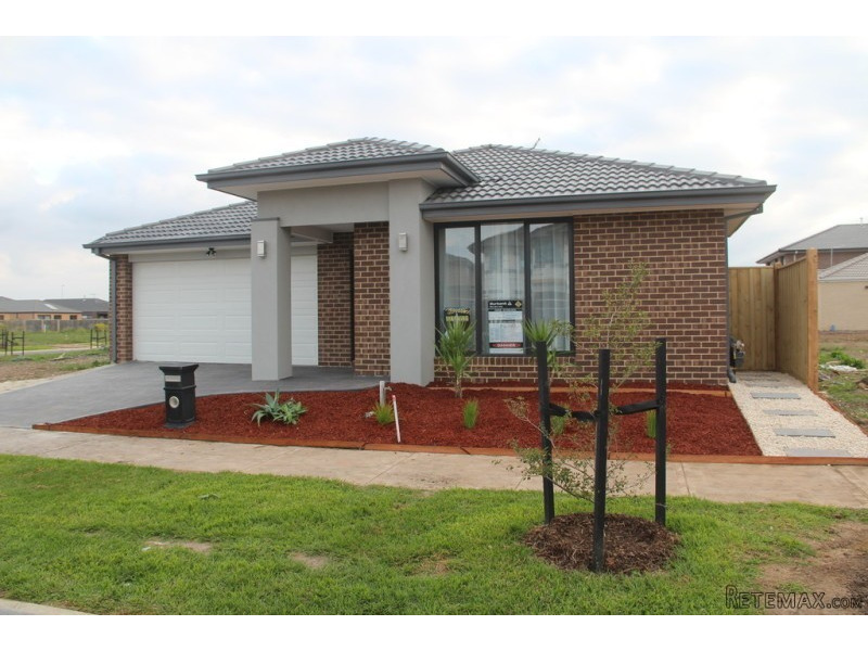 Modern and Spacious Four Bedroom Home -..
